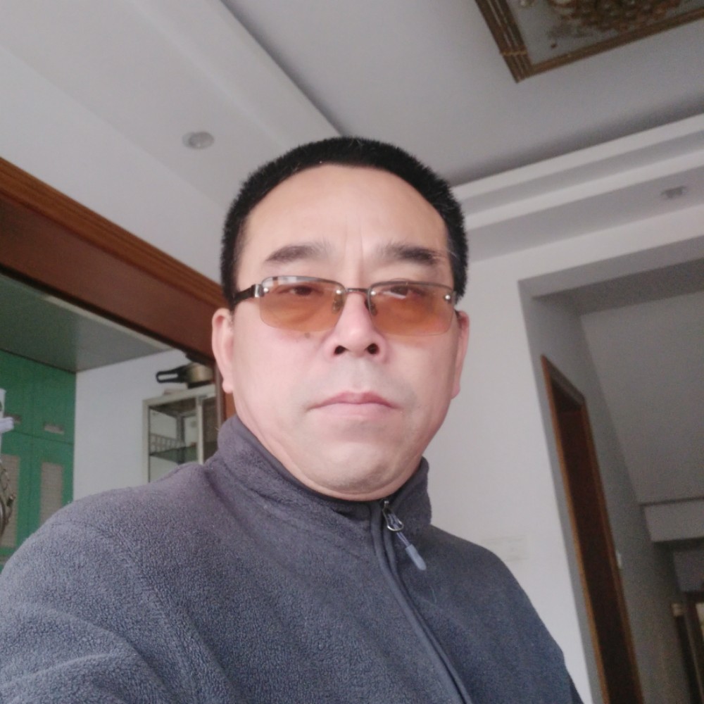 内向母鸡的照片