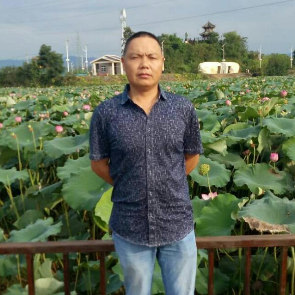 阔达琉璃的照片