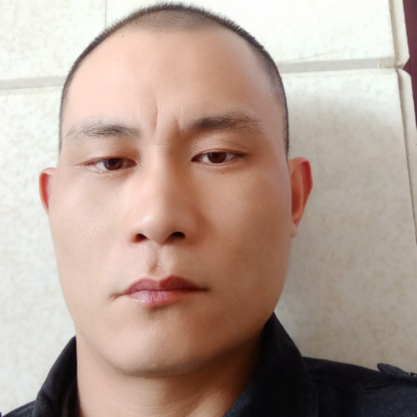 灰狼吃醋幽默的照片