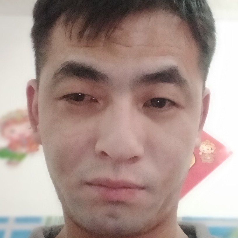 西牛倾心美丽的照片