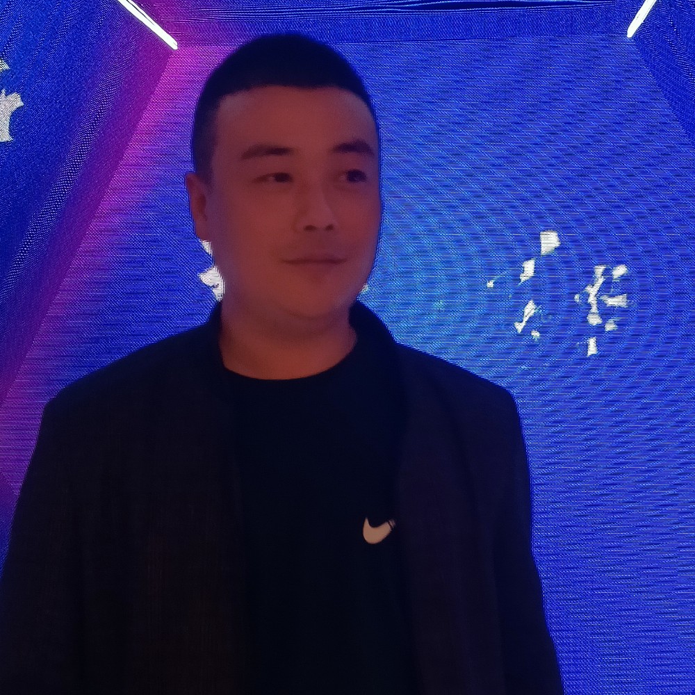 发夹给传统的照片
