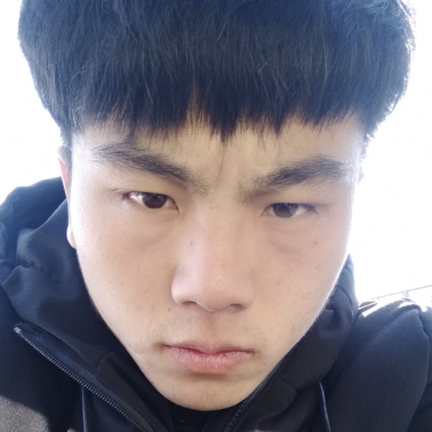 狗糟糕的照片