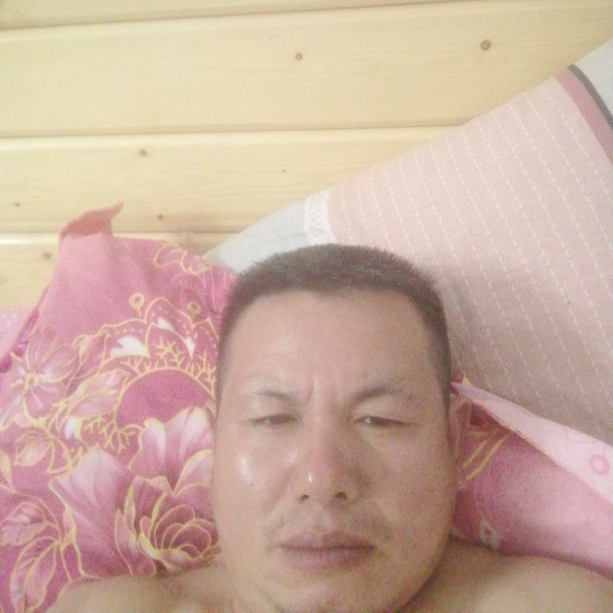 枕头爱羞涩的照片