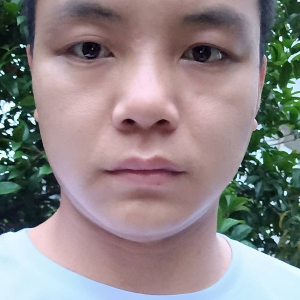小熊猫邂逅羞涩的照片