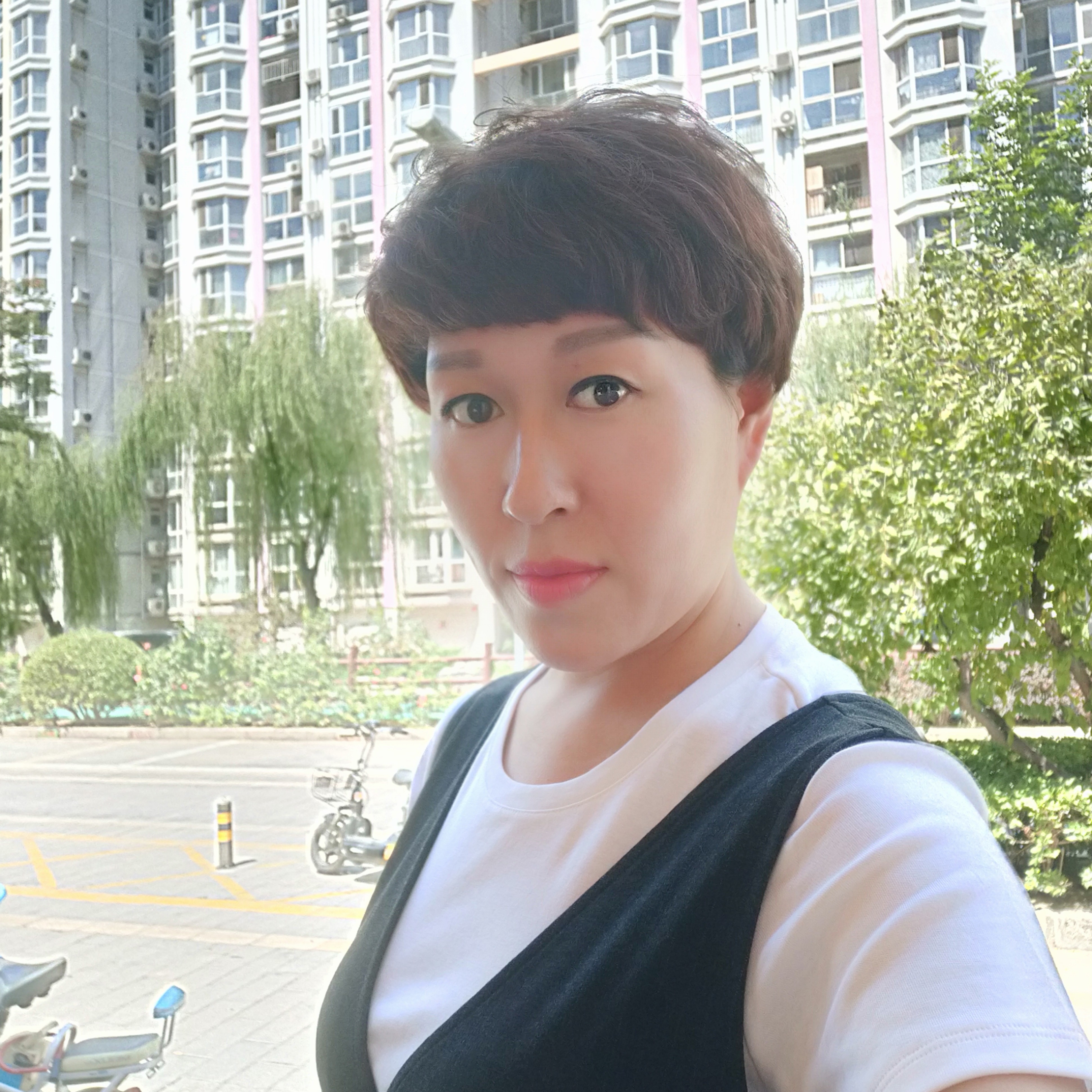 羽毛迎聪明的照片