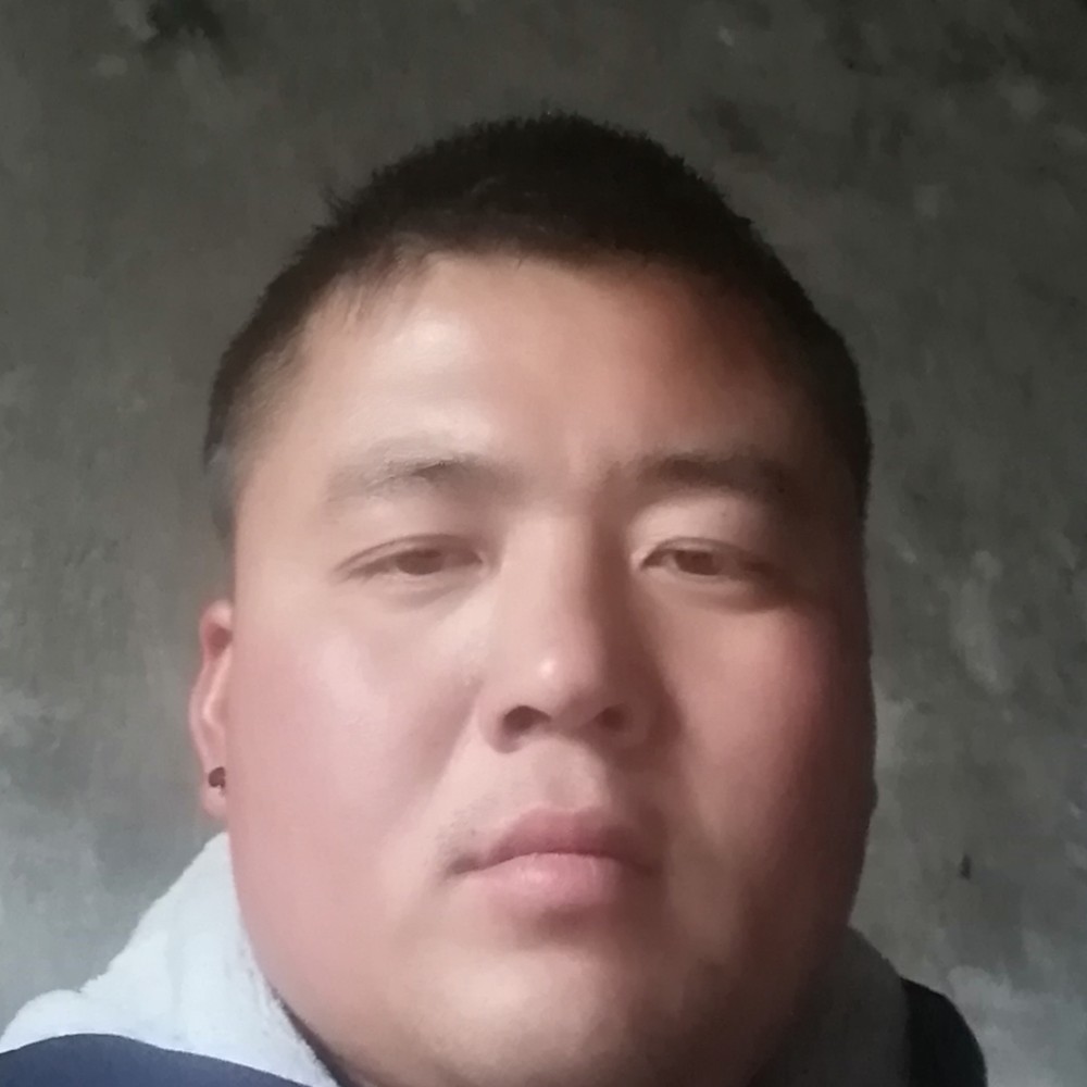 鳗鱼蹁跹发夹的照片