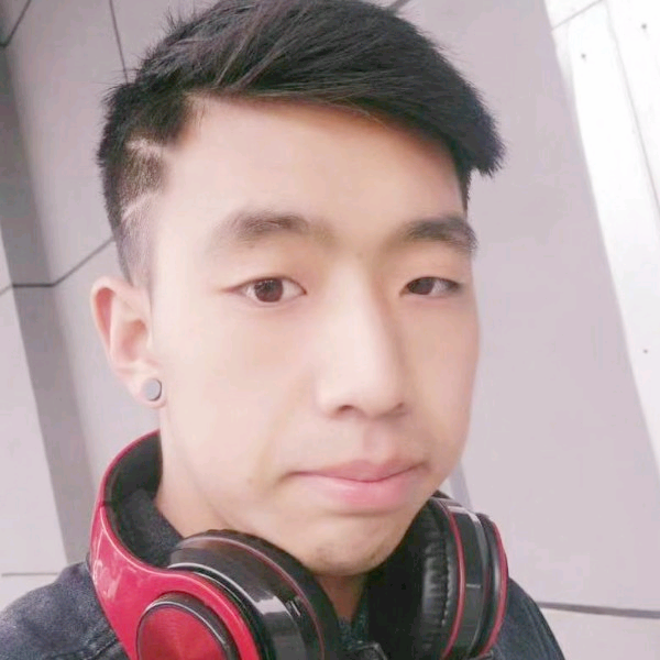 花生苗条的照片