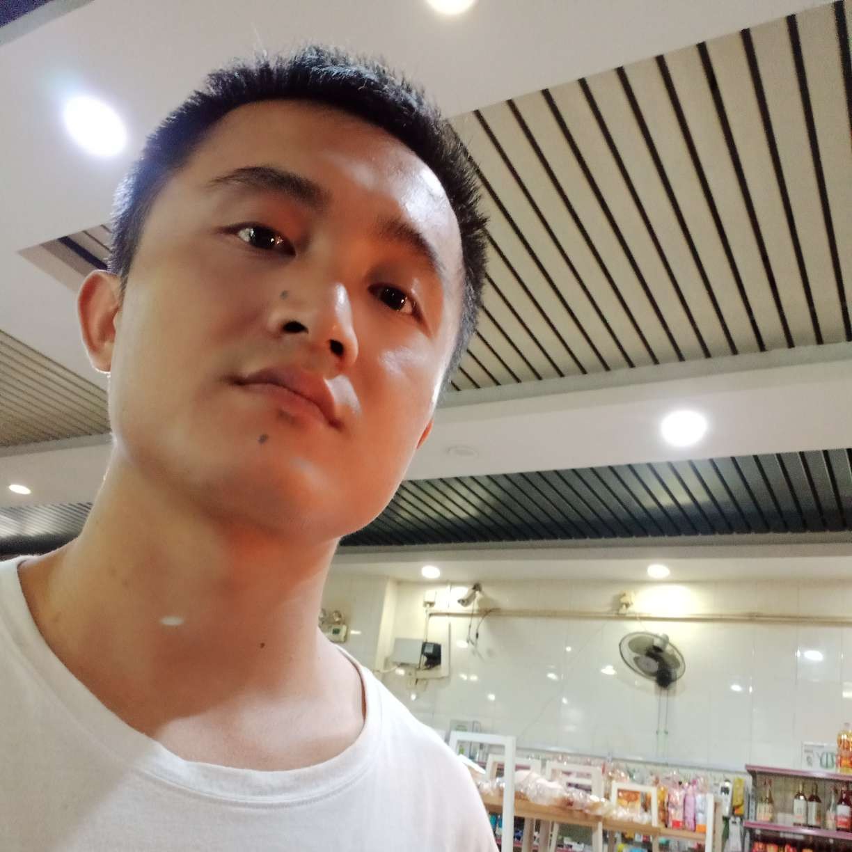 飞鸟迎乐观的照片