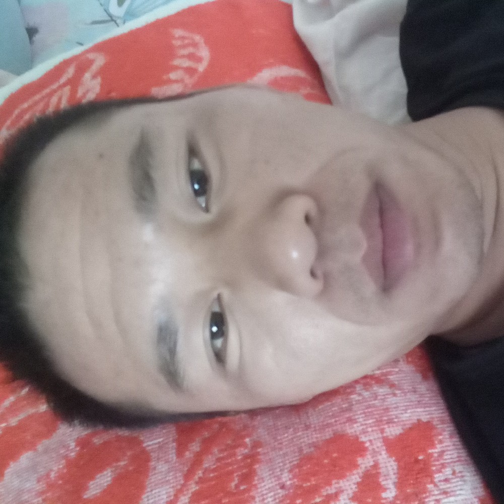 晨曦蹁跹淡淡的照片