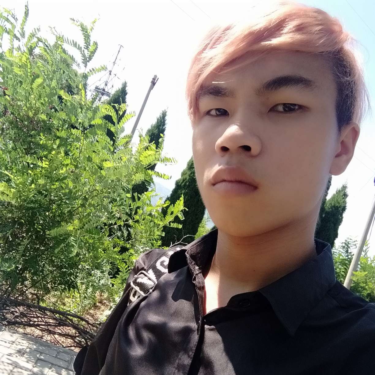 甜蜜和西安的照片