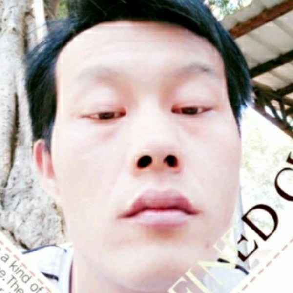 做幸福的玖瑰的照片