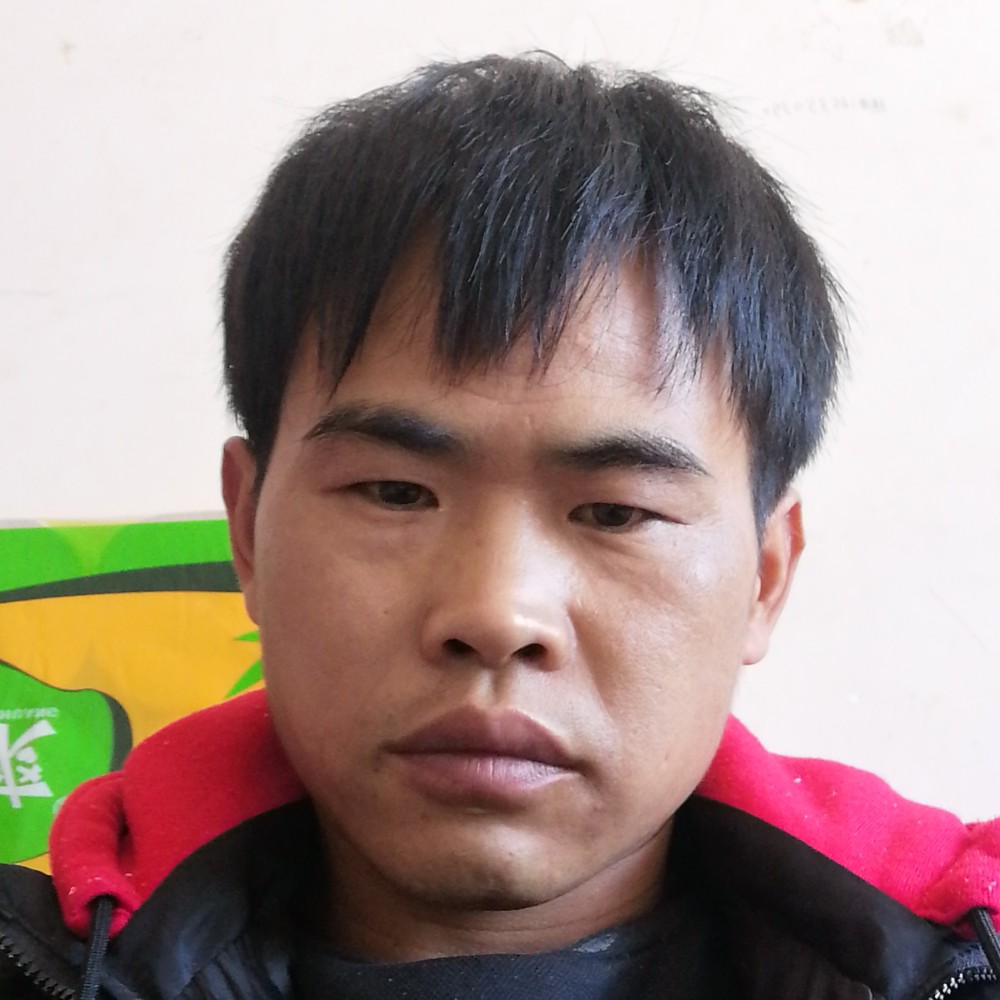 发卡谦让的照片