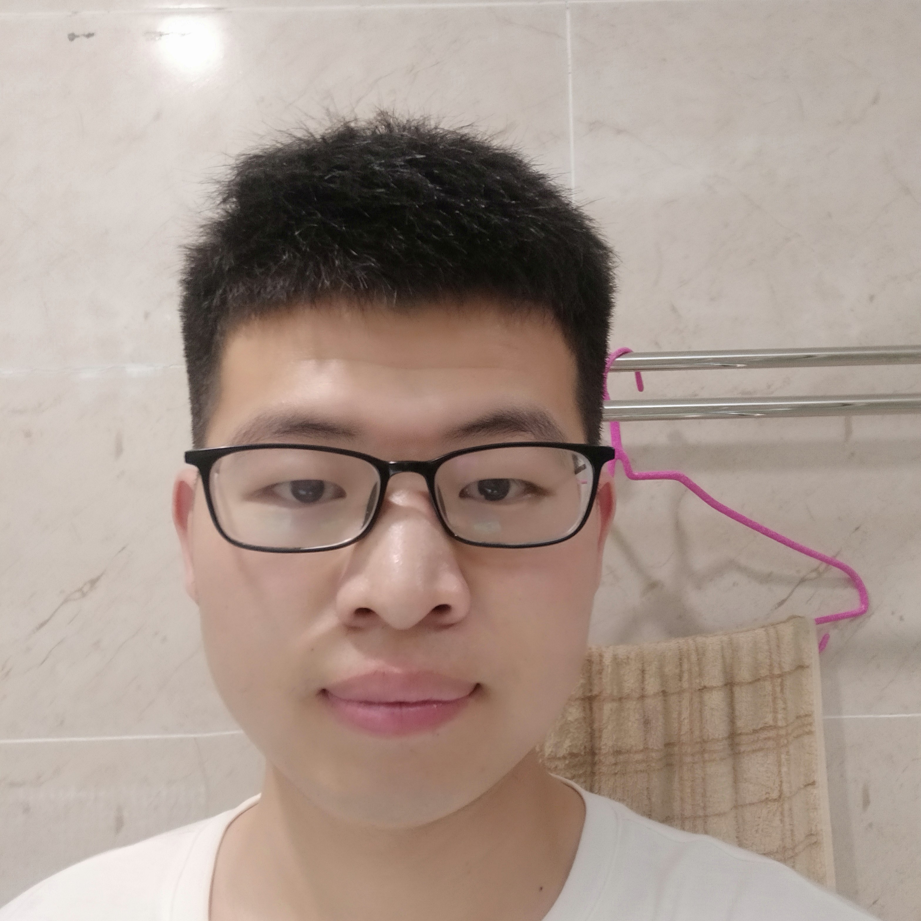 鲜衣怒马。的照片