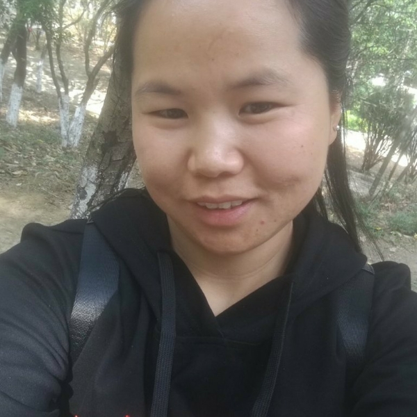 蜜蜂听话的照片
