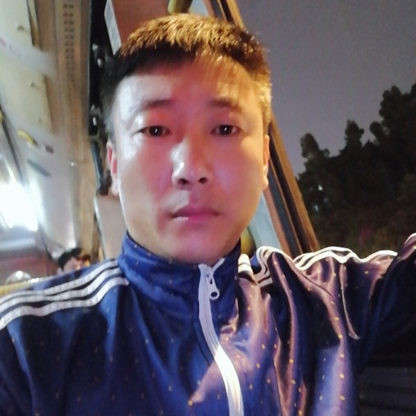 海里的一条鲫鱼的照片