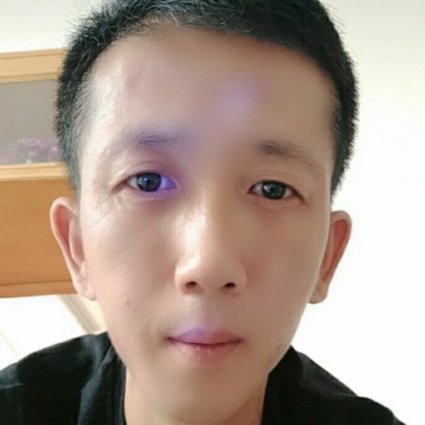 沉静苦恋小海豚的照片