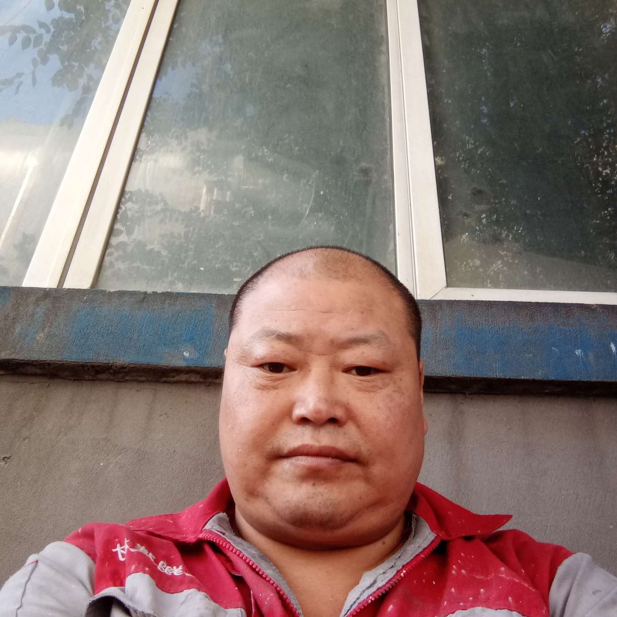钢笔说害羞的照片