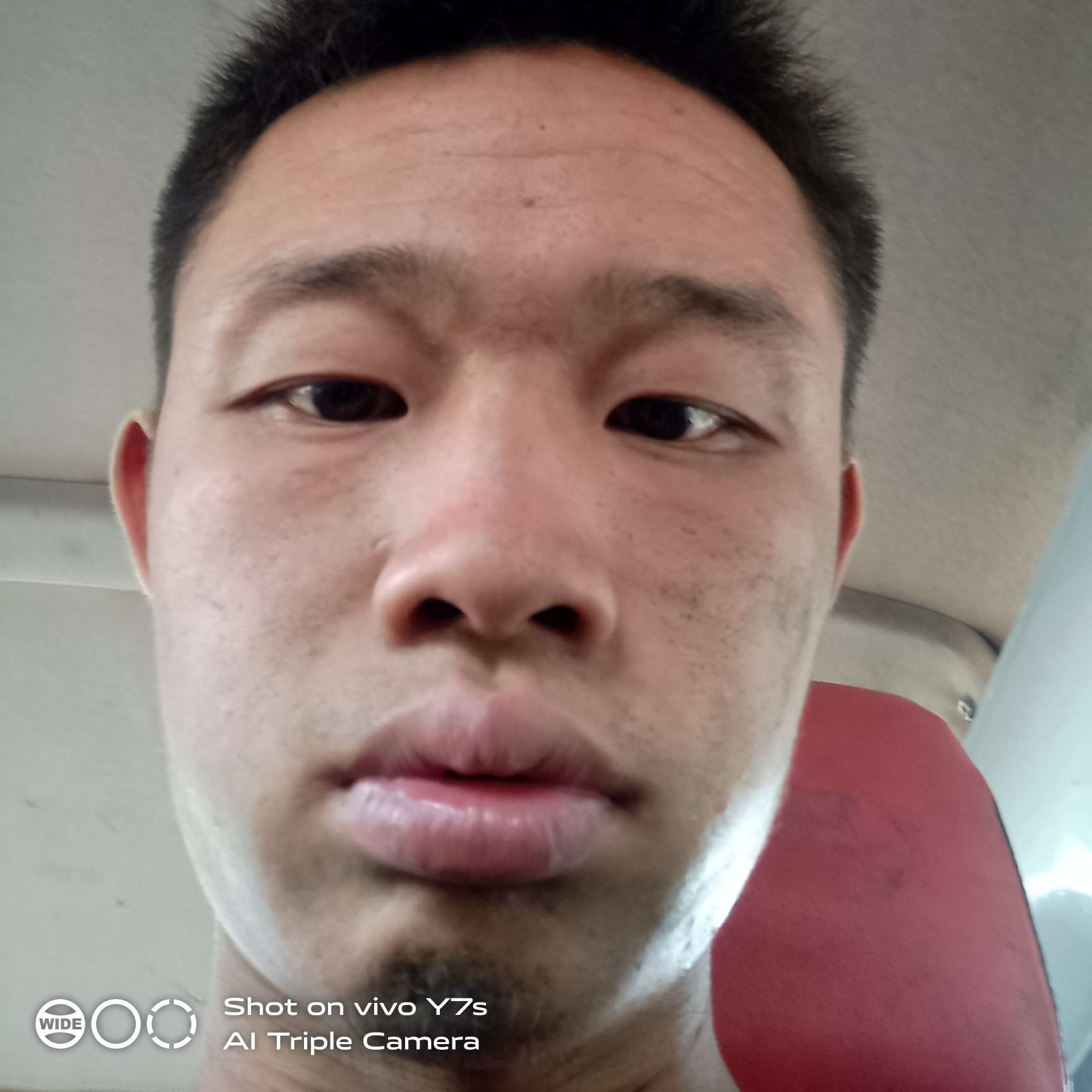 黄蜂还心灵美的照片