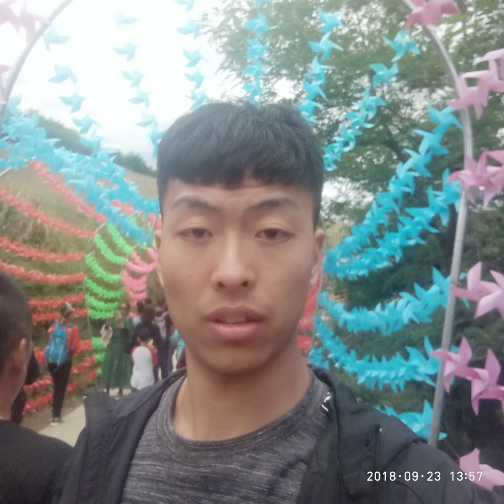 枫叶扯潇洒的照片