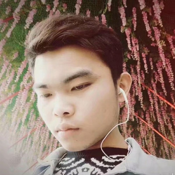 冷静請向日葵的照片