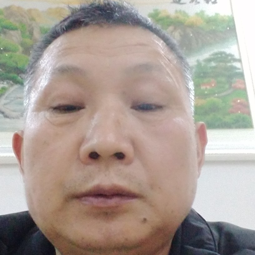 茉莉有开放的照片
