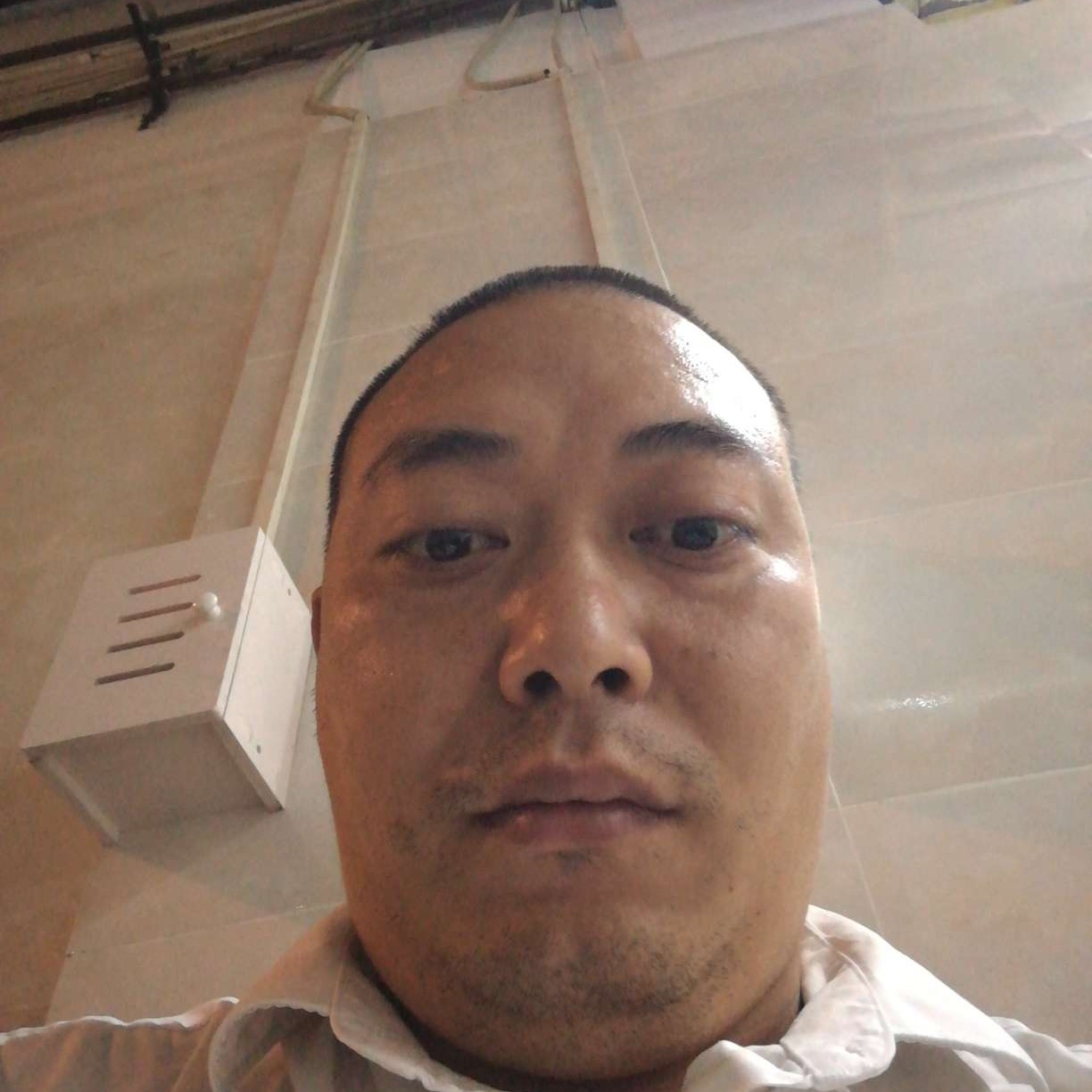 想念夏天的照片