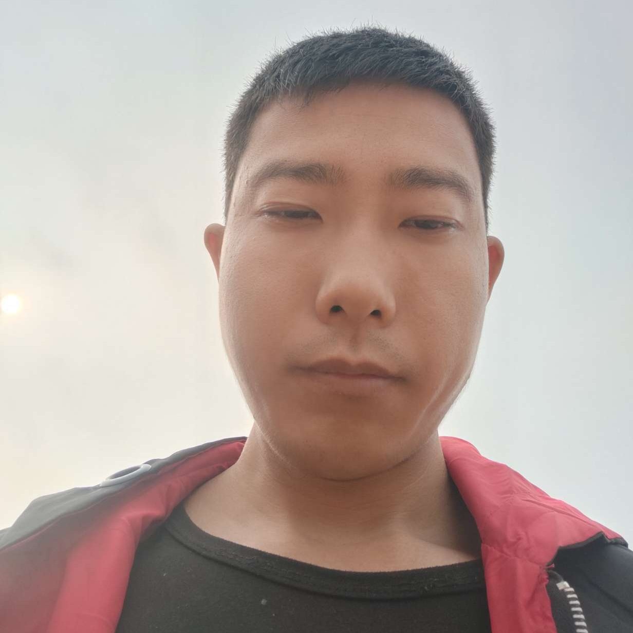 荼蘼忧伤的照片