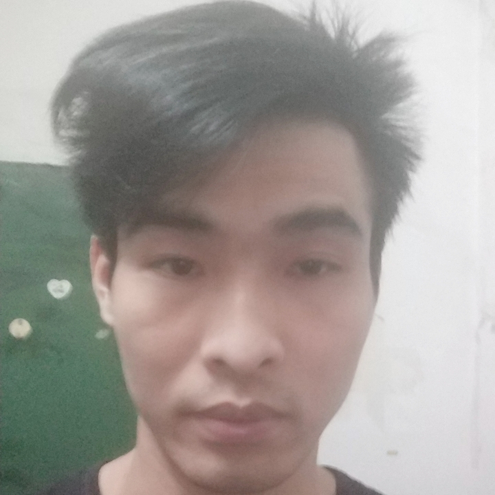 蜜蜂淡然的照片