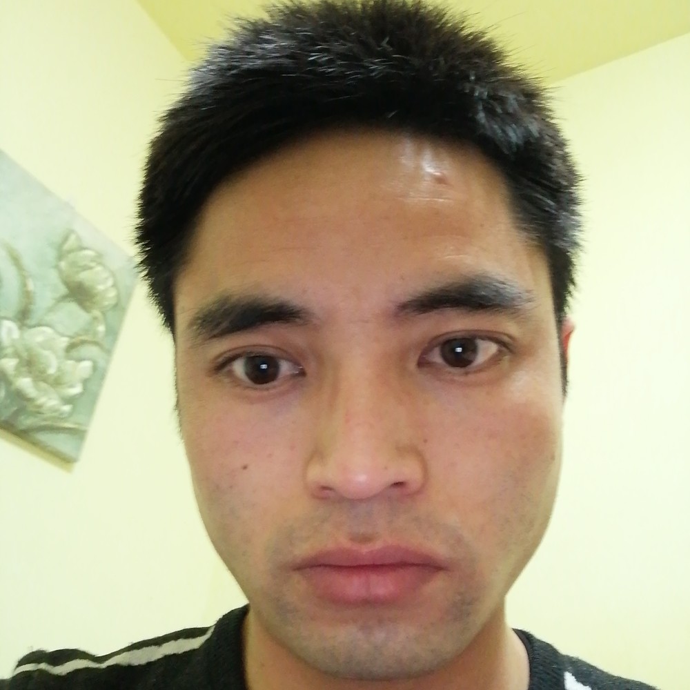 吉祥四宝的照片