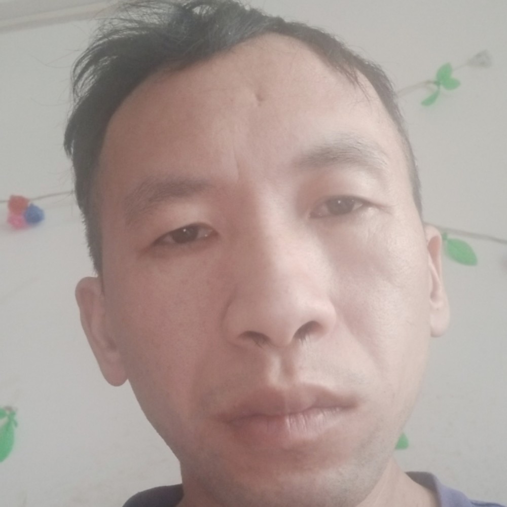 夏露拾忆动人的照片