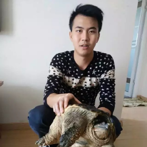凉城┯的照片
