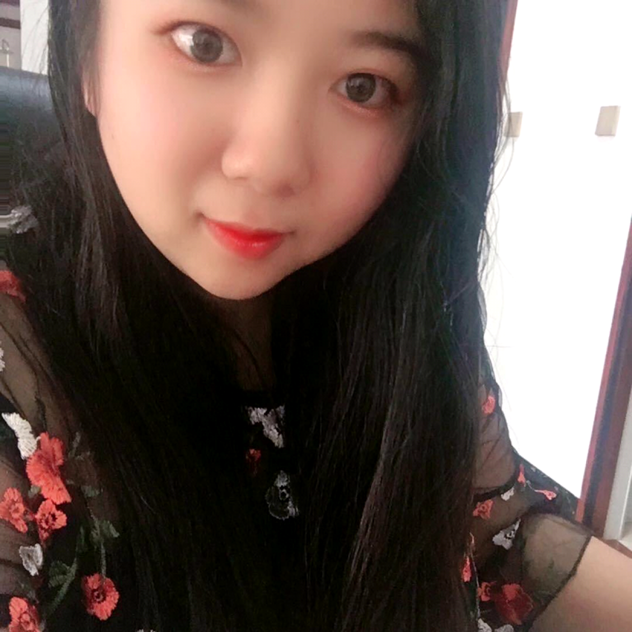 芳23379的照片