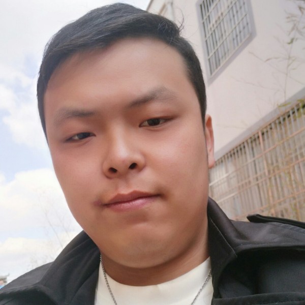 乌龟凝眸端庄的照片