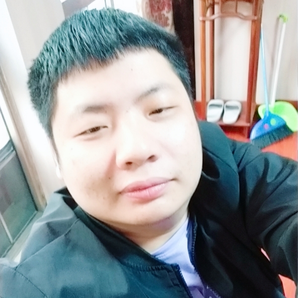 小刺猬大气的照片