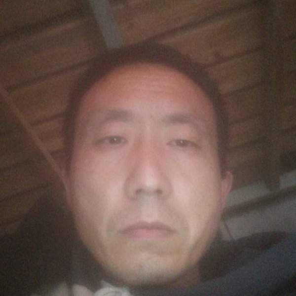 孤單相许小蜜蜂的照片