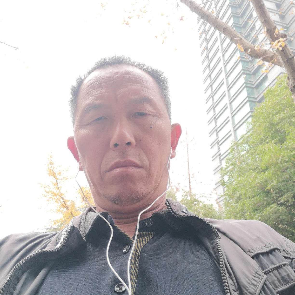体贴的陌颜的照片