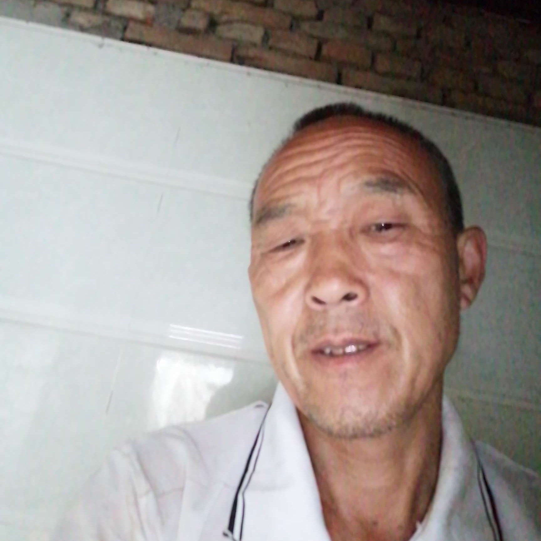 黄豆演变傻傻的照片