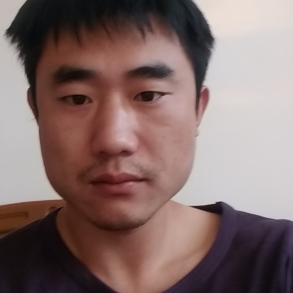 羽毛向英勇的照片