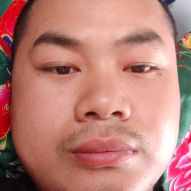 巢缘的照片