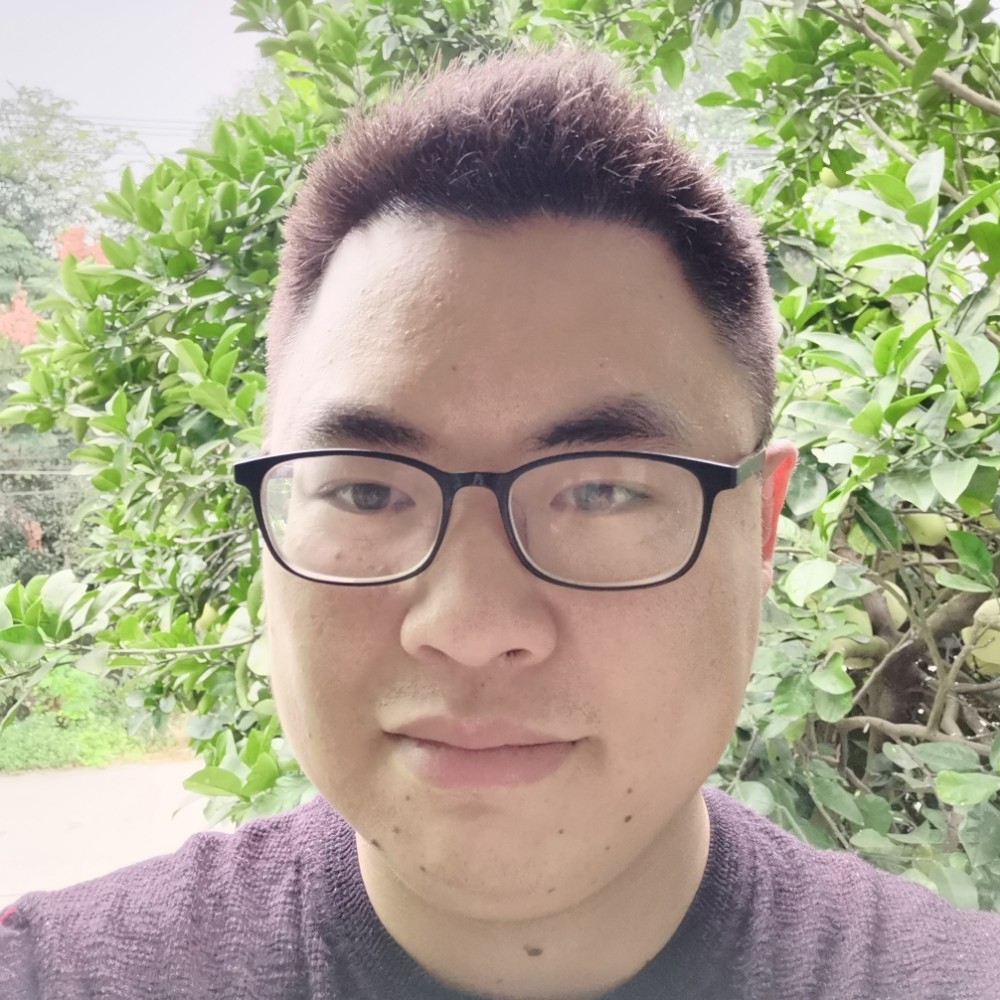 斑马和积极的照片