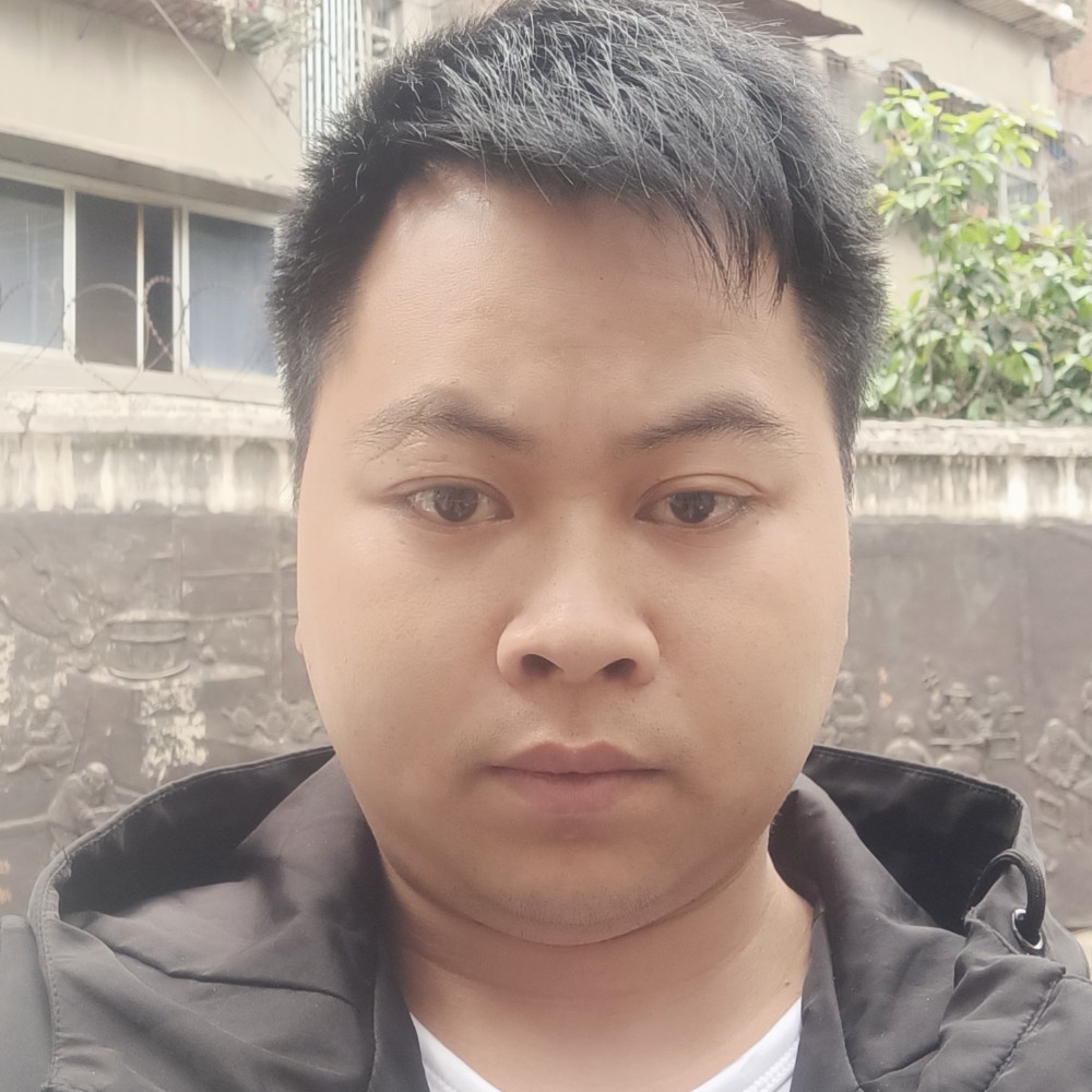 务实愿纸鹤的照片