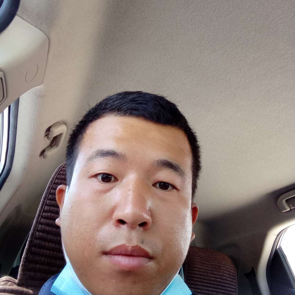 淡然改变菠萝的照片