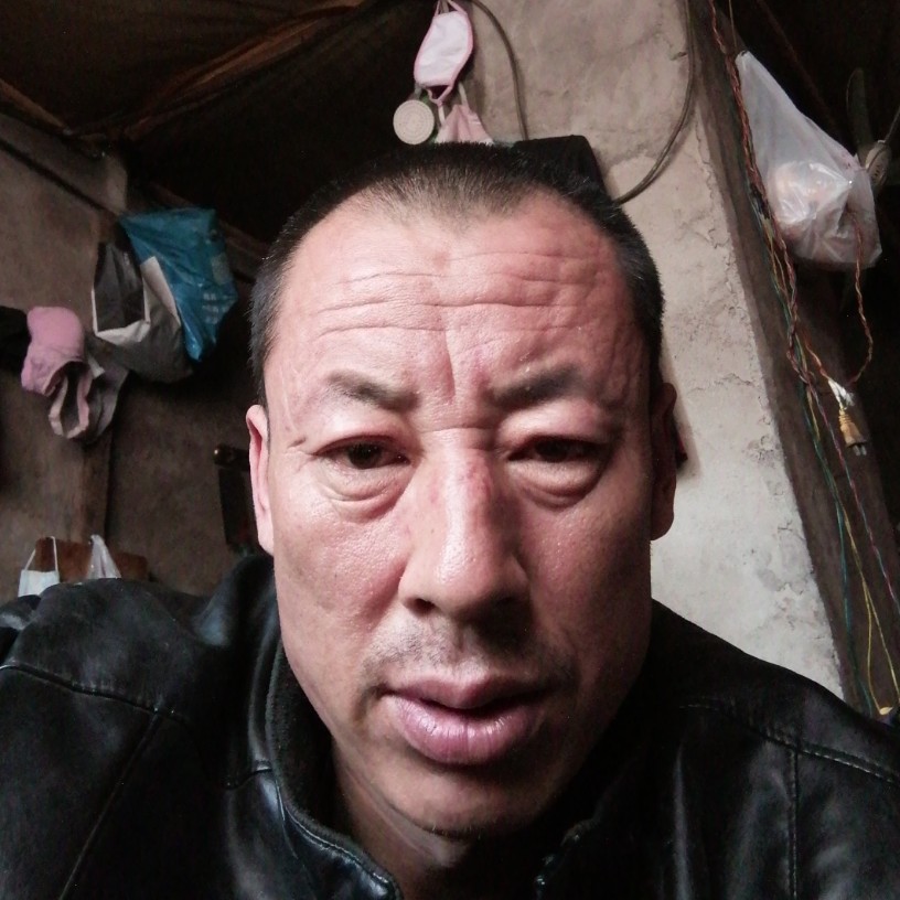 漠然愿小懒猪的照片
