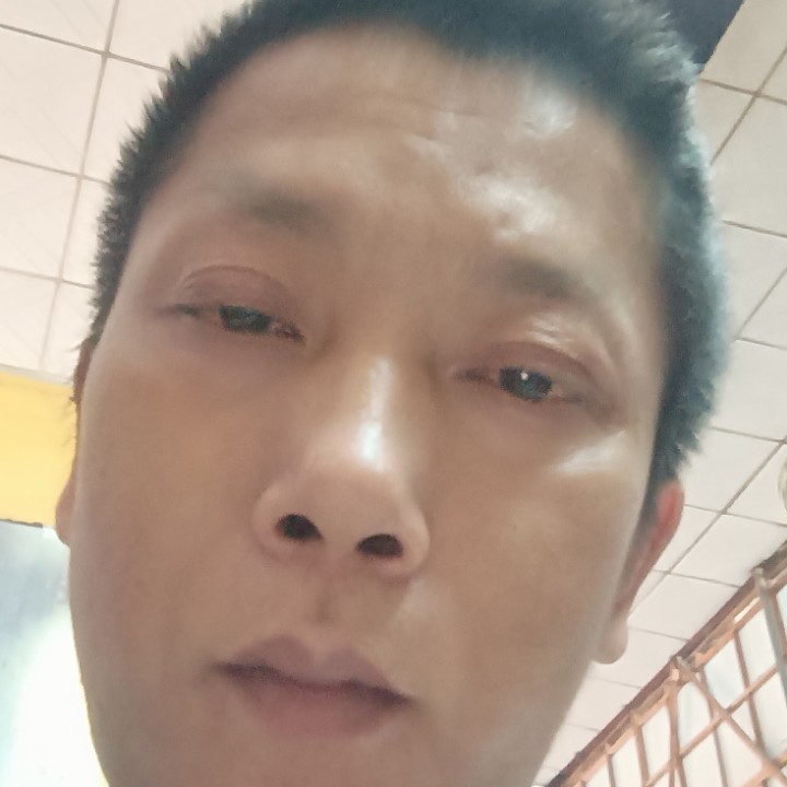 超级泪了蚂蚁的照片