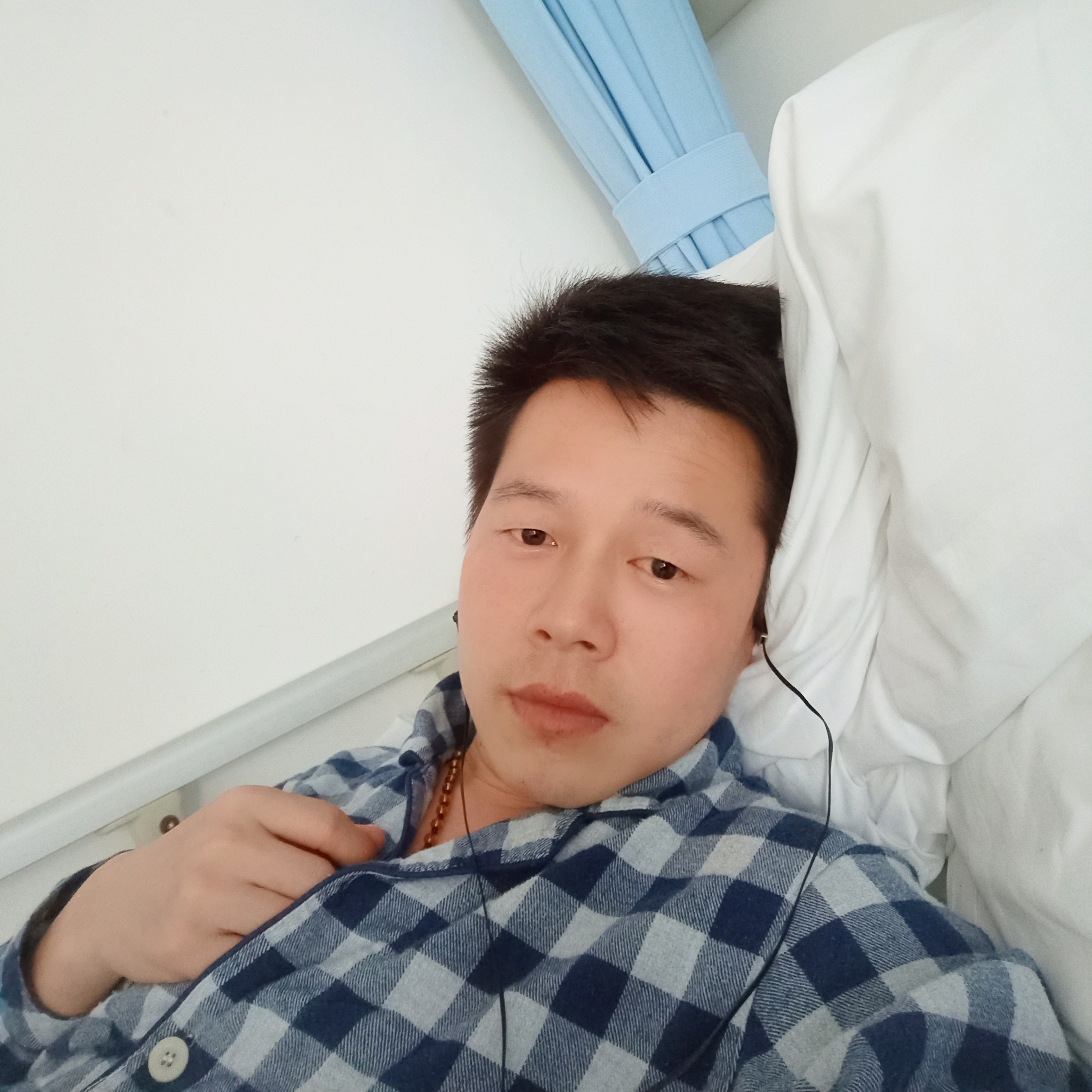 羞涩的小蜜蜂的照片