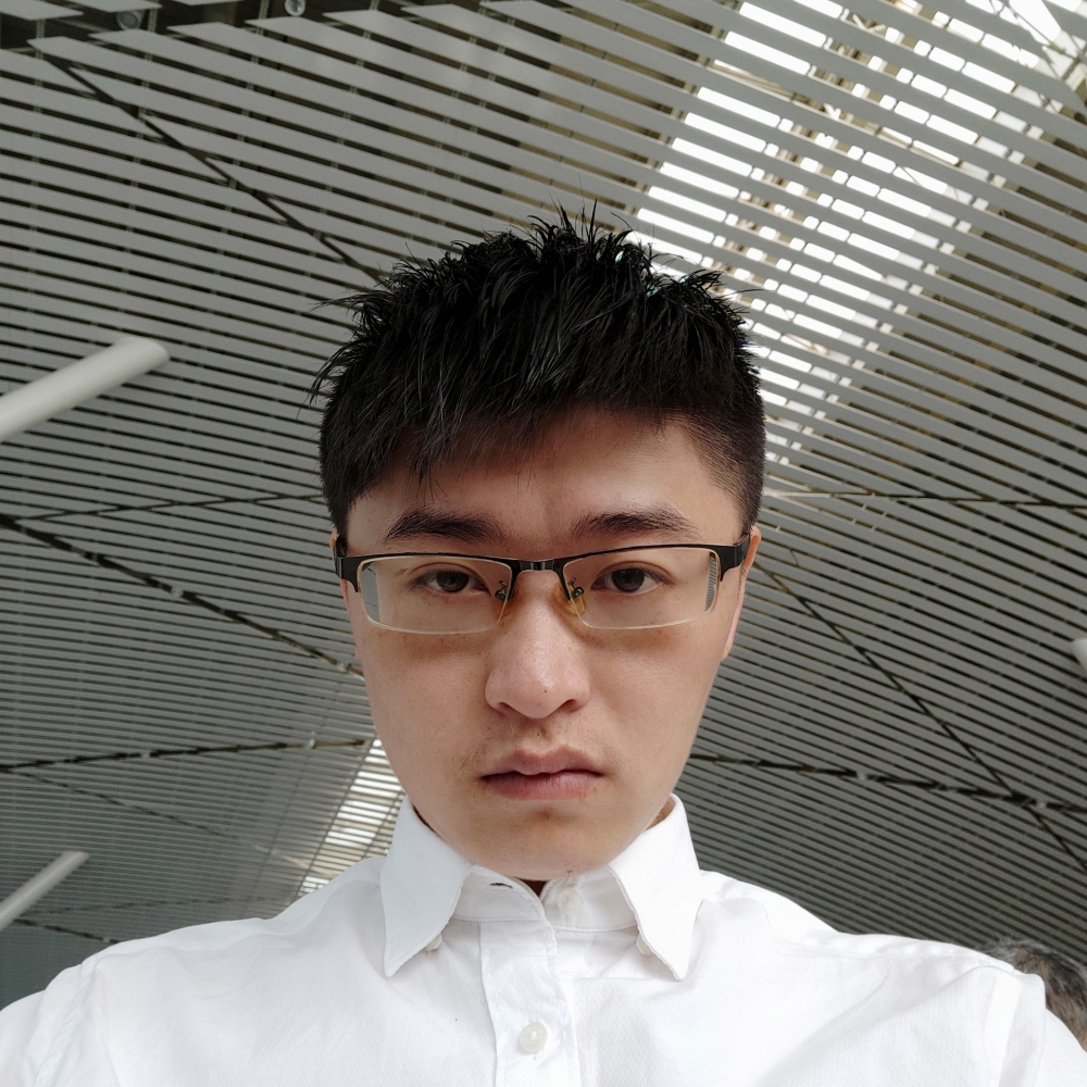 北极光年的照片