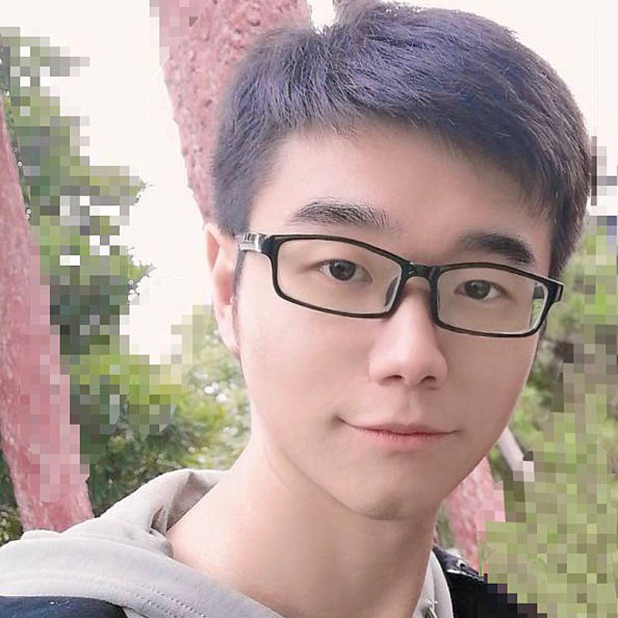 日下林荫的照片