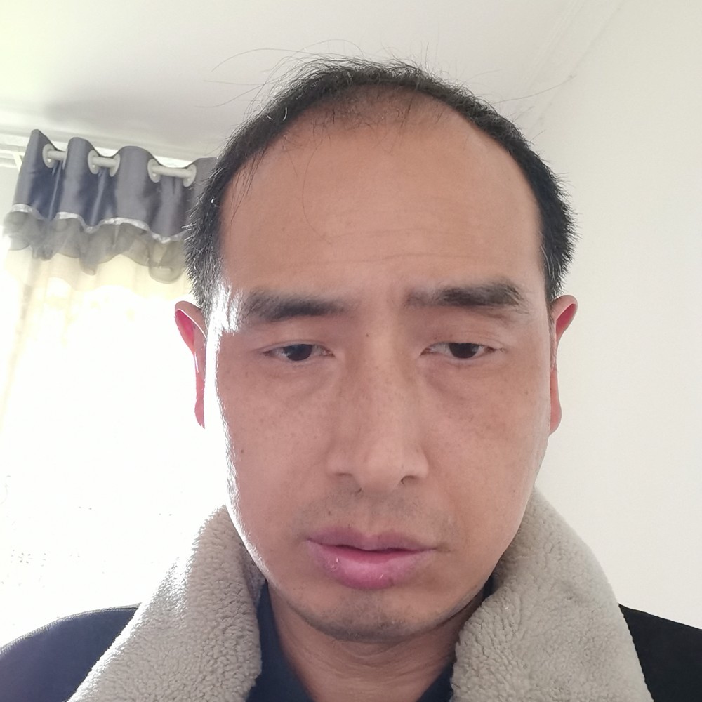 向日葵保卫幸福的照片