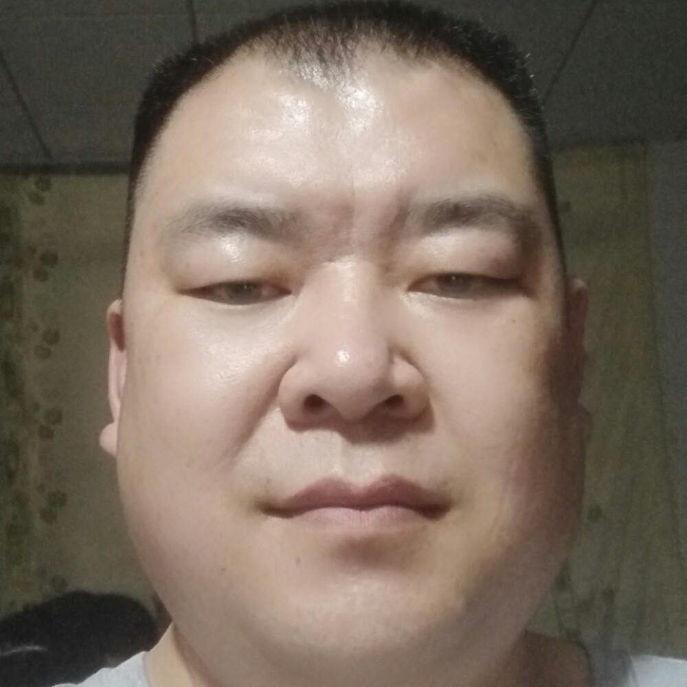 幽默請玫瑰的照片