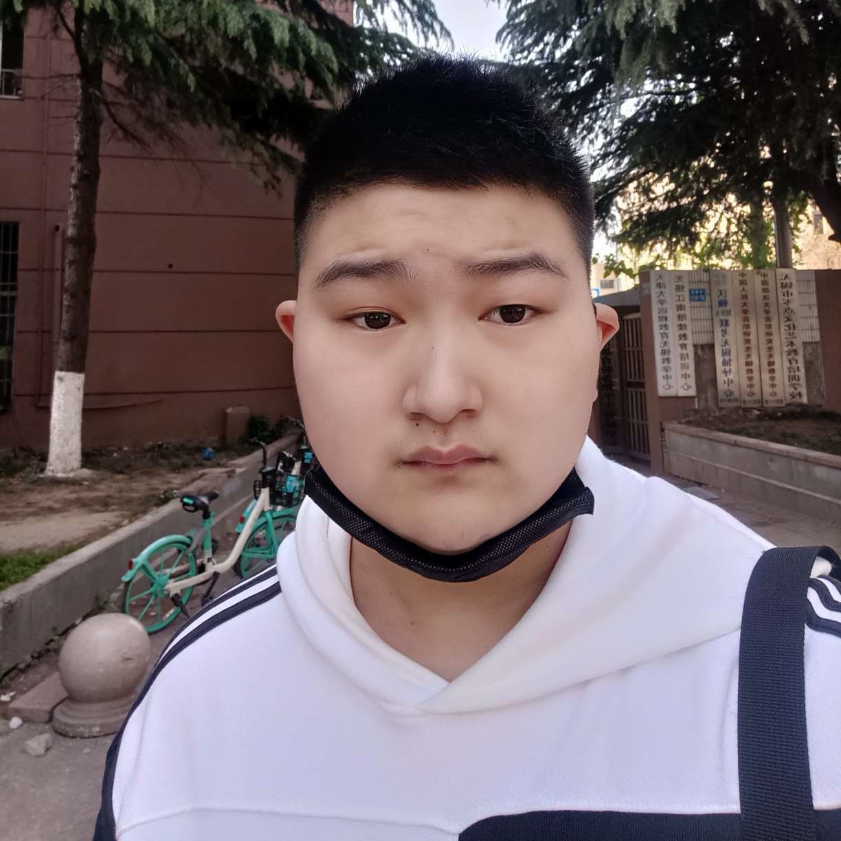 纯真向思恋的照片